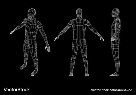 人身體部位|3D 人體解剖圖庫 